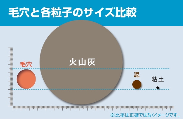 毛穴より小さい 泥洗顔 クレイ洗顔の大きさ比較